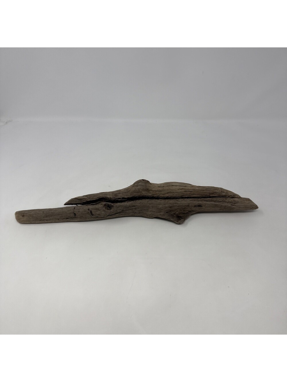 Small Piece Of Driftwood (South Alabama)